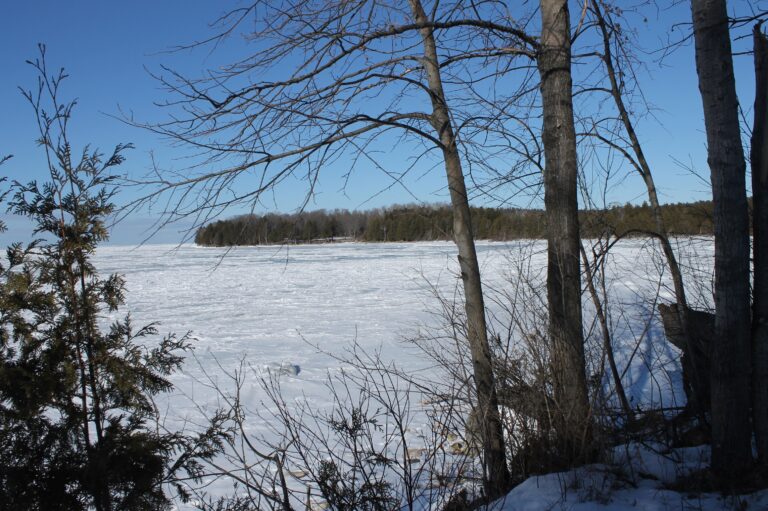 Free Shipping Until March 1 + A Winter Quilting Adventure